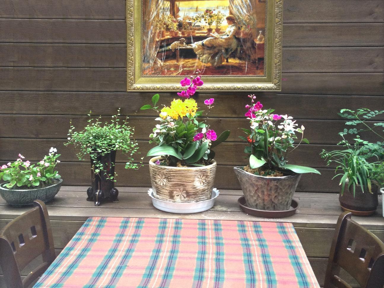 Petercat Hotel Insadong Seoul Luaran gambar